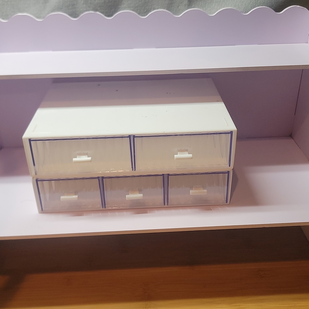 White and Clear Storage Drawer Organizer